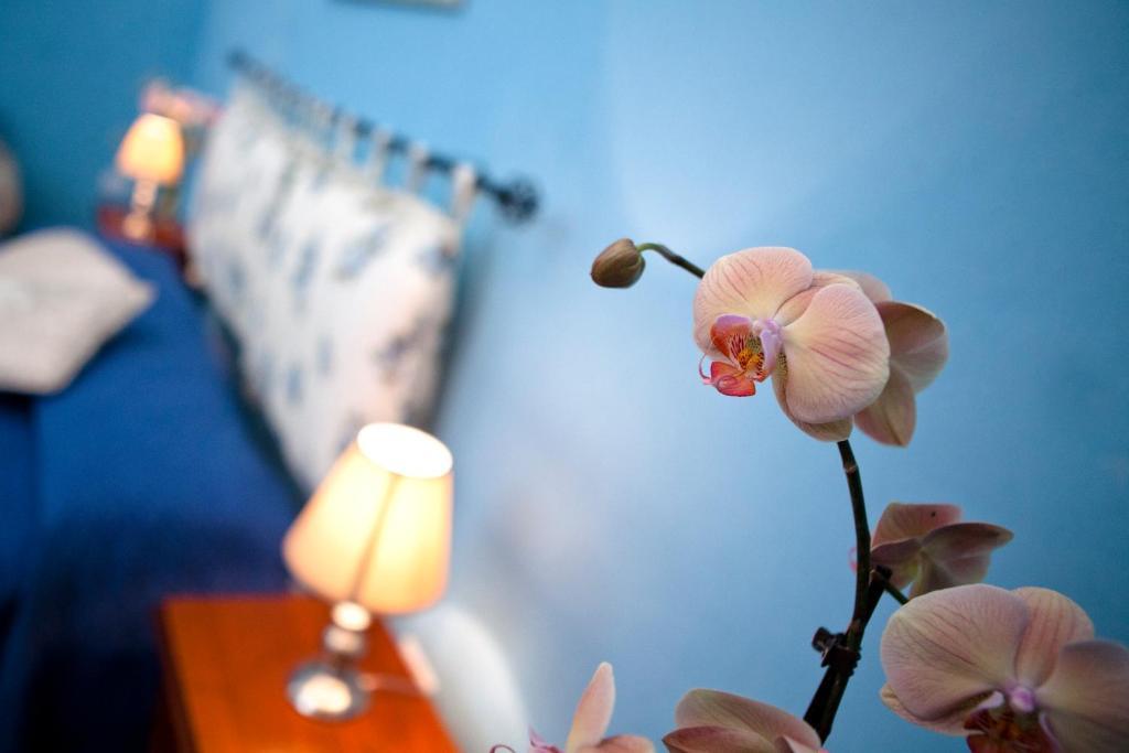 B&B Dimora San Vincenzo กัลลีโปลี ห้อง รูปภาพ